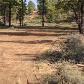 Review photo of Tom Best Spring Road FR117 Dispersed - Dixie National Forest by Greg L., September 3, 2021