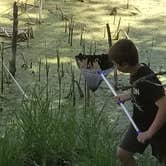 Review photo of Turtle River State Park Campground by Brad K., June 23, 2018