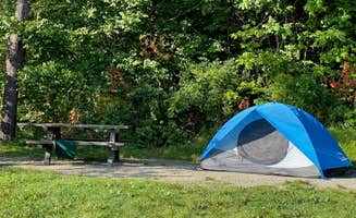 LoneCamper C.'s photo at Lamoine State Park Campground near Franklin, ME