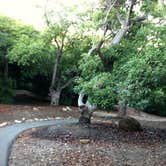 Review photo of Sun Outdoors Santa Barbara by Momma H., September 3, 2021