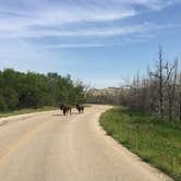 Review photo of Juniper Campground — Theodore Roosevelt National Park by Jennifer B., June 22, 2018