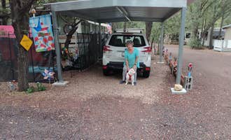 Camping near Hon-Dah RV Park: Waltner's RV Resort, Lakeside, Arizona