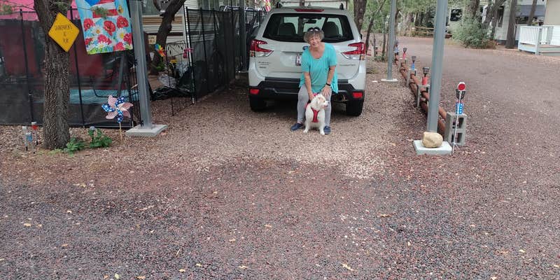 Camper submitted image from Waltner's RV Resort