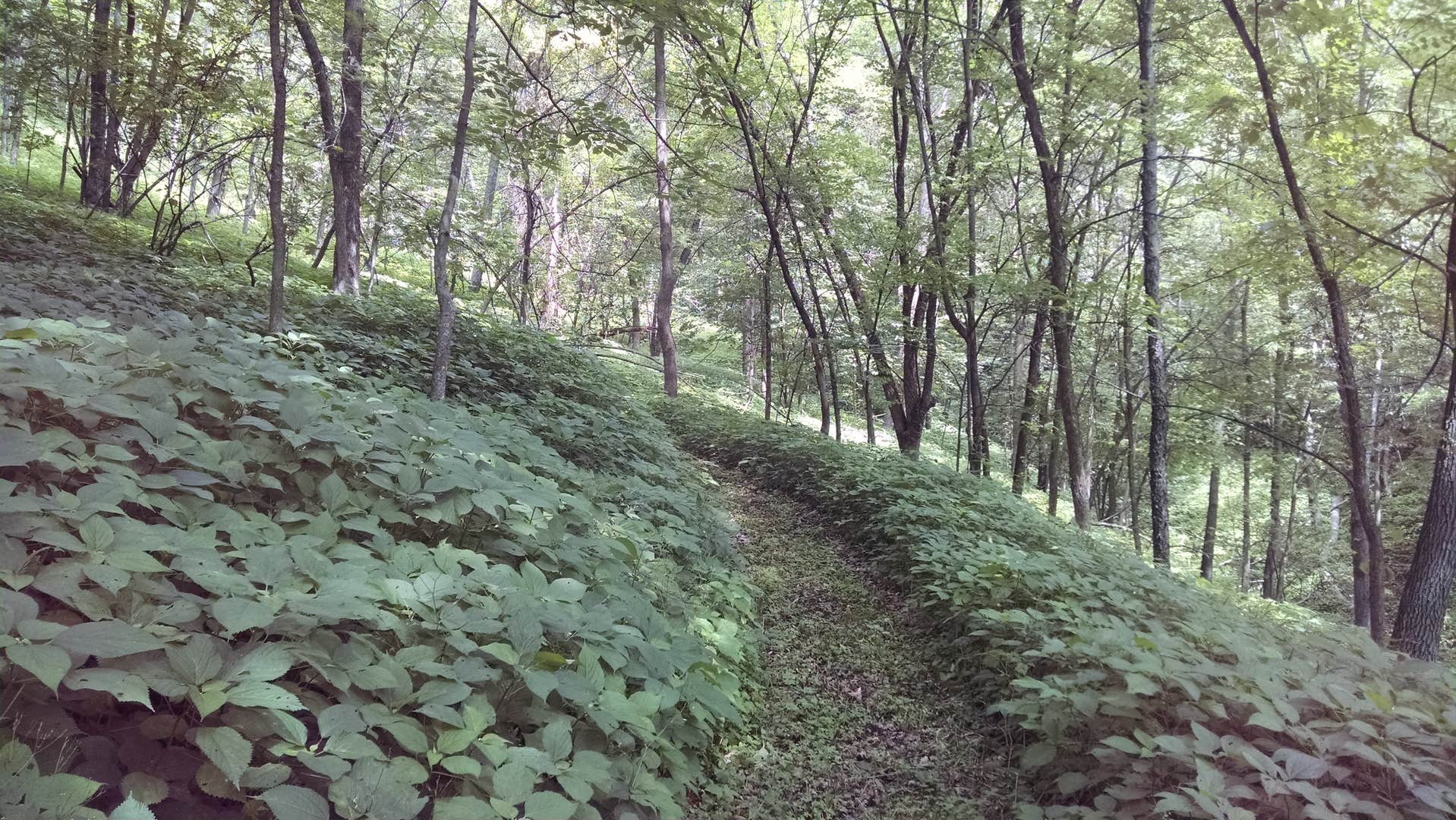 Camper-submitted photo at Sleepy Hollow Campground near Cochrane, WI