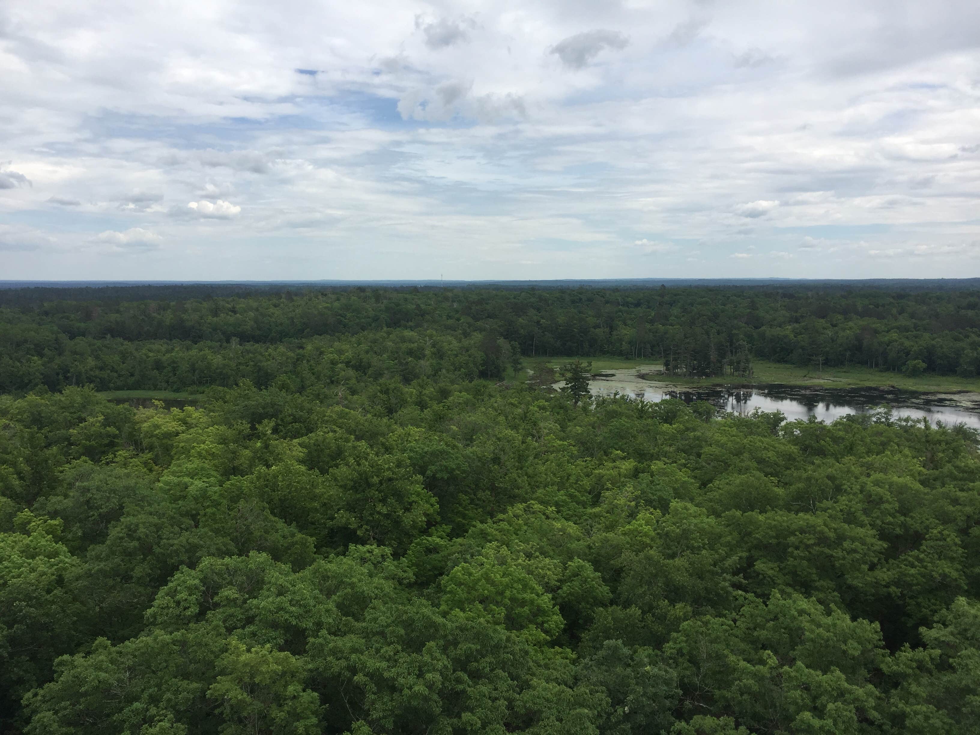 Camper-submitted photo at Bear Paw Campground — Itasca State Park near Laporte, MN