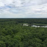 Review photo of Bear Paw Campground — Itasca State Park by Jennifer B., June 20, 2018
