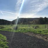 Review photo of Quaker Area — Allegany State Park State Park by angie S., June 23, 2018