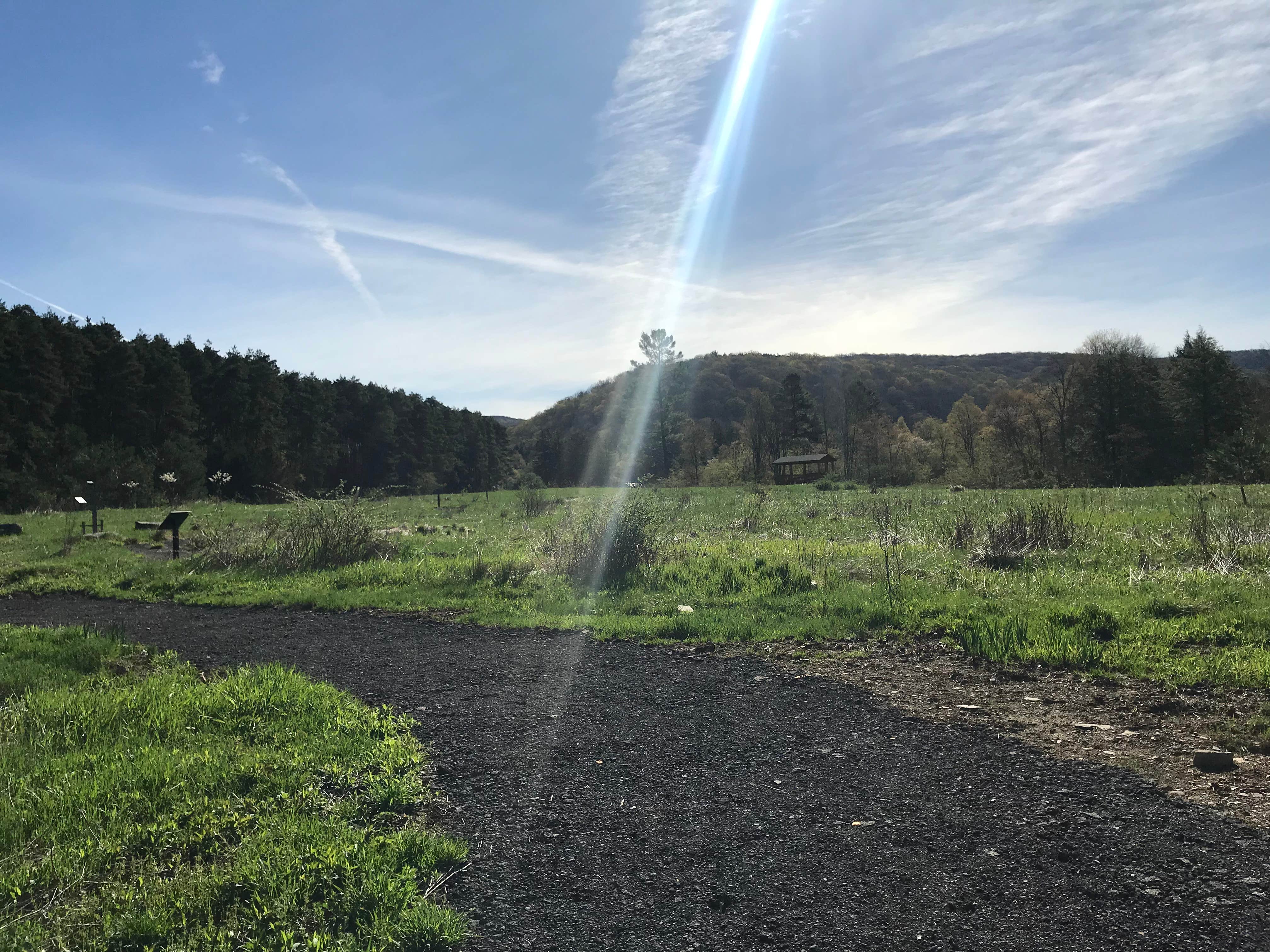 Camper submitted image from Quaker Area — Allegany State Park State Park - 4