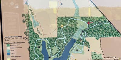Signs & Maps