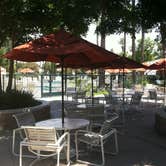 Review photo of Golden Village Palms RV Resort by Momma H., September 3, 2021