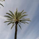 Review photo of Golden Village Palms RV Resort by Momma H., September 3, 2021