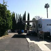 Review photo of Golden Village Palms RV Resort by Momma H., September 3, 2021