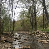 Review photo of Quaker Area — Allegany State Park State Park by angie S., June 23, 2018