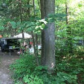 Review photo of Bear Paw Campground by Beth D., September 3, 2021