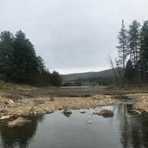 Review photo of Quaker Area — Allegany State Park State Park by angie S., June 23, 2018