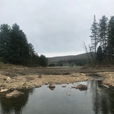 Review photo of Allegany State Park — Allegany State Park State Park by angie S., June 23, 2018