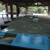 Review photo of Bear Paw Campground — Itasca State Park by Beth D., September 3, 2021