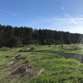 Review photo of Quaker Area — Allegany State Park State Park by angie S., June 23, 2018