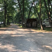 Review photo of Bear Paw Campground — Itasca State Park by Beth D., September 3, 2021