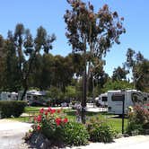 Review photo of San Diego Metro KOA by Veronica H., September 3, 2021