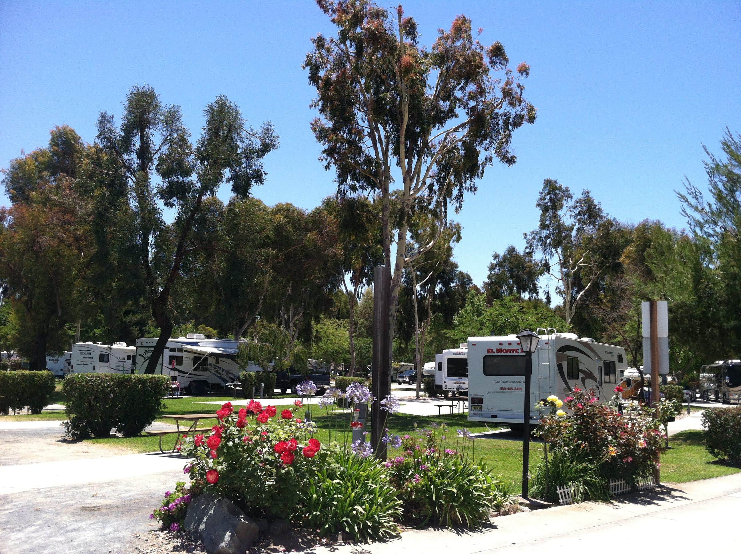 Camper submitted image from San Diego Metro KOA - 1