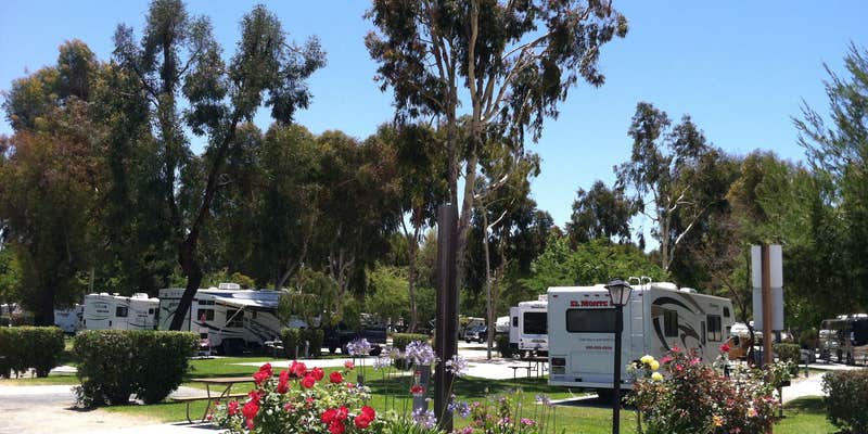 Camper submitted image from San Diego Metro KOA