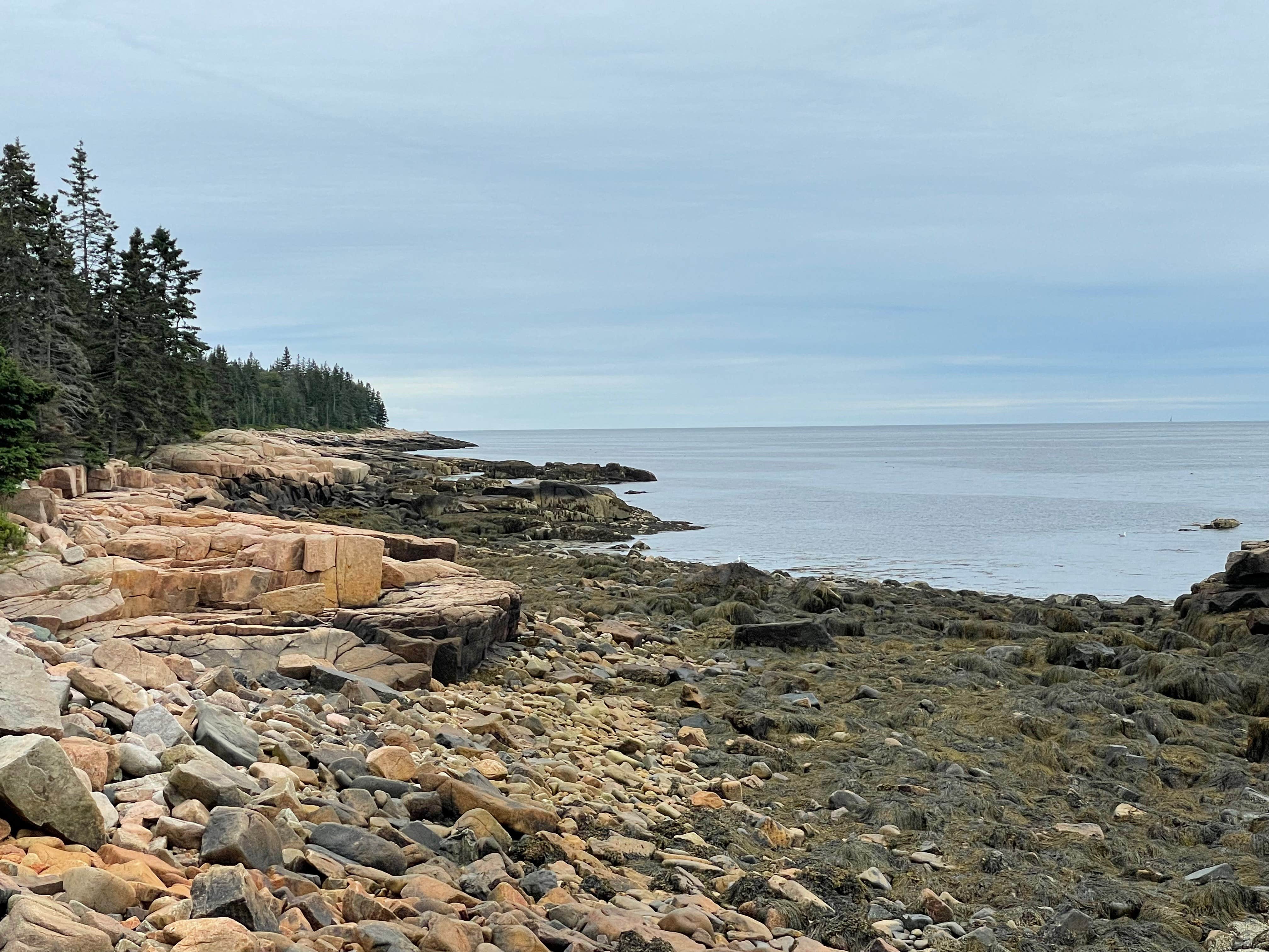 Best camping near Surry, Maine The Dyrt