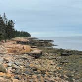 Review photo of Seawall Campground — Acadia National Park by LoneCamper C., September 3, 2021