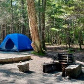 Review photo of Seawall Campground — Acadia National Park by LoneCamper C., September 3, 2021