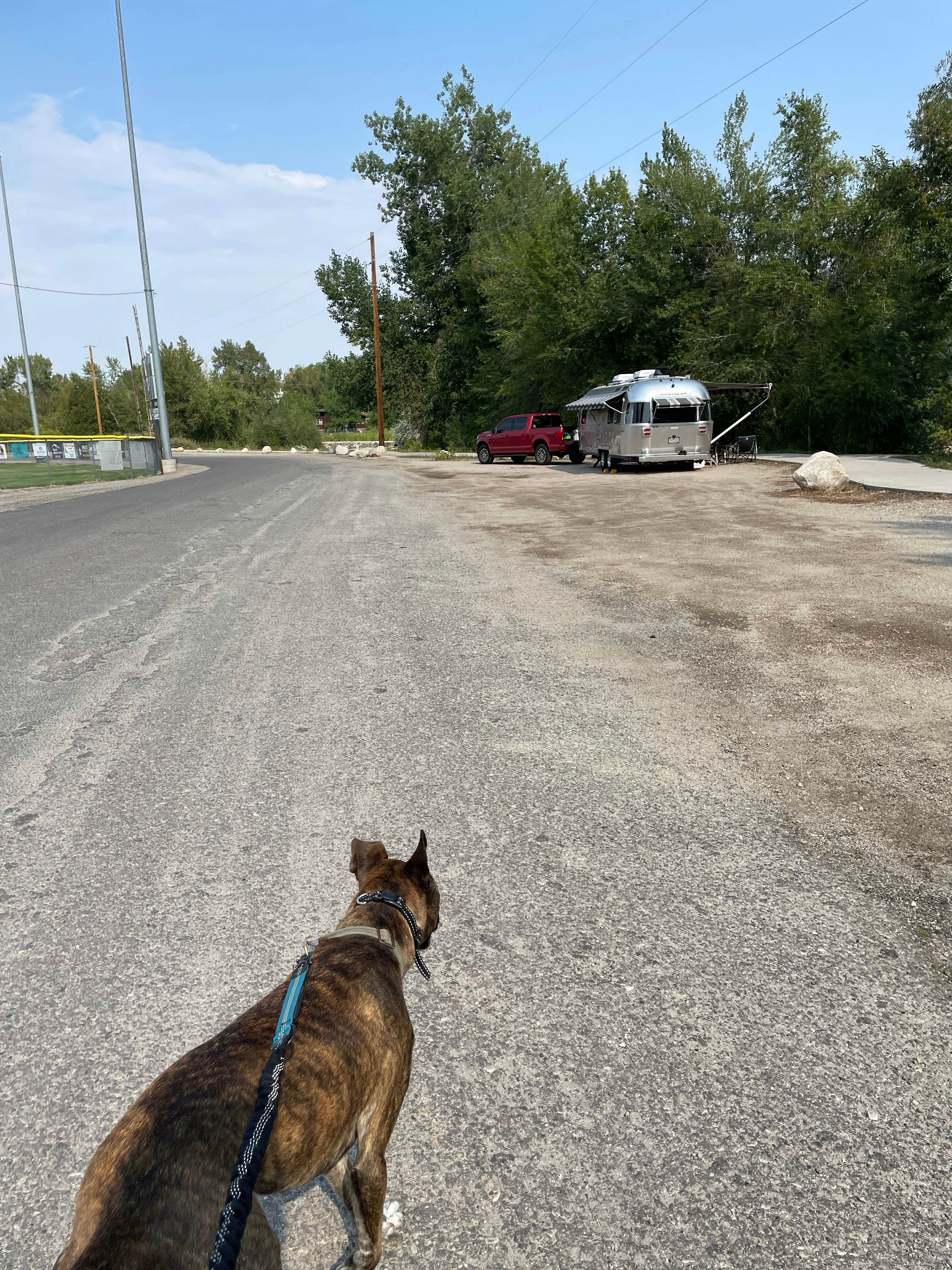Abby M.'s photo of camping with pets at Lander City Park near Lander, WY