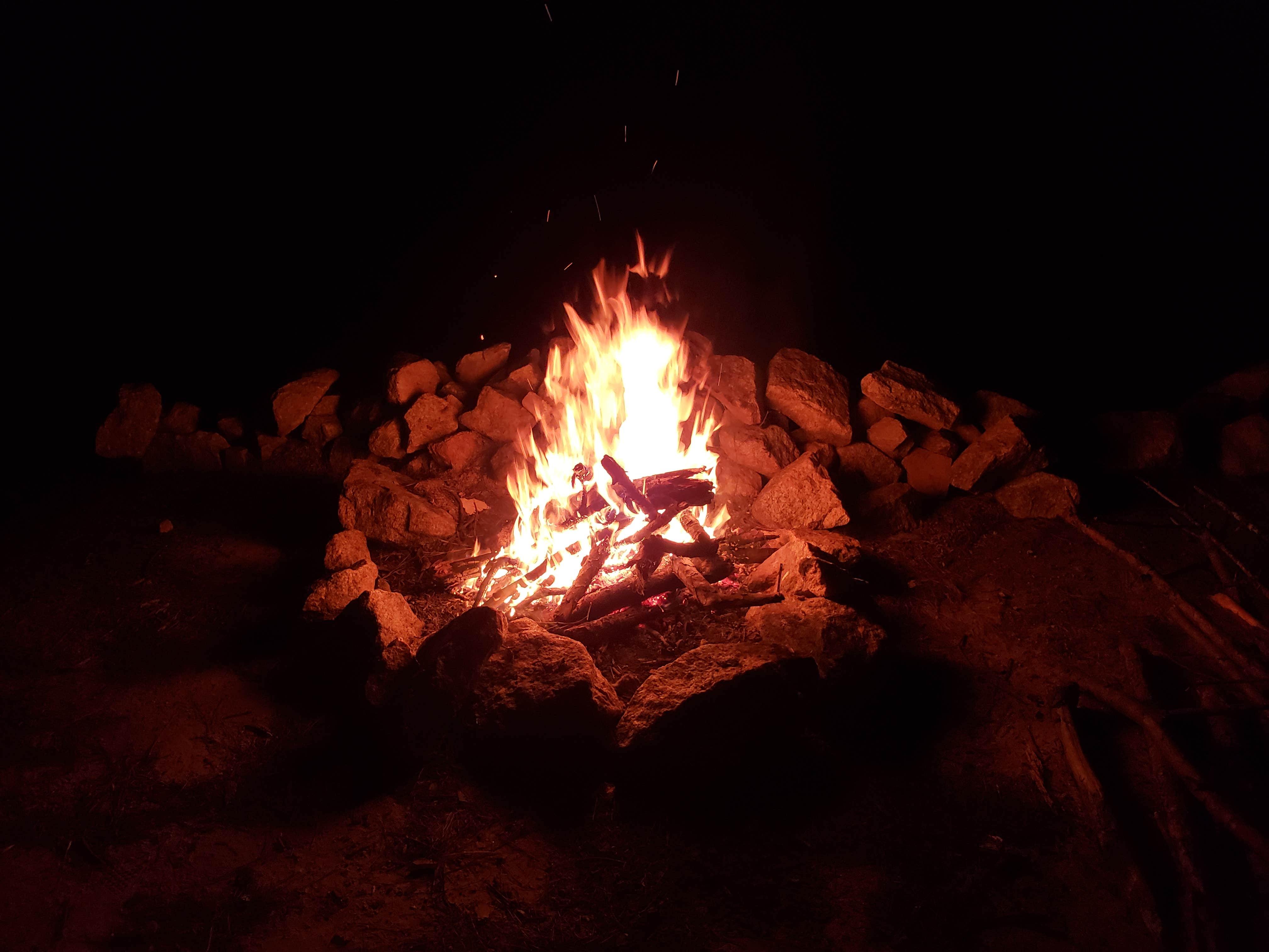 Camper submitted image from Wildwood County Park - 2