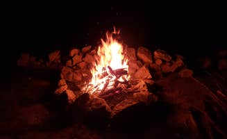 Josh B.'s photo at Wildwood County Park near North Augusta, SC