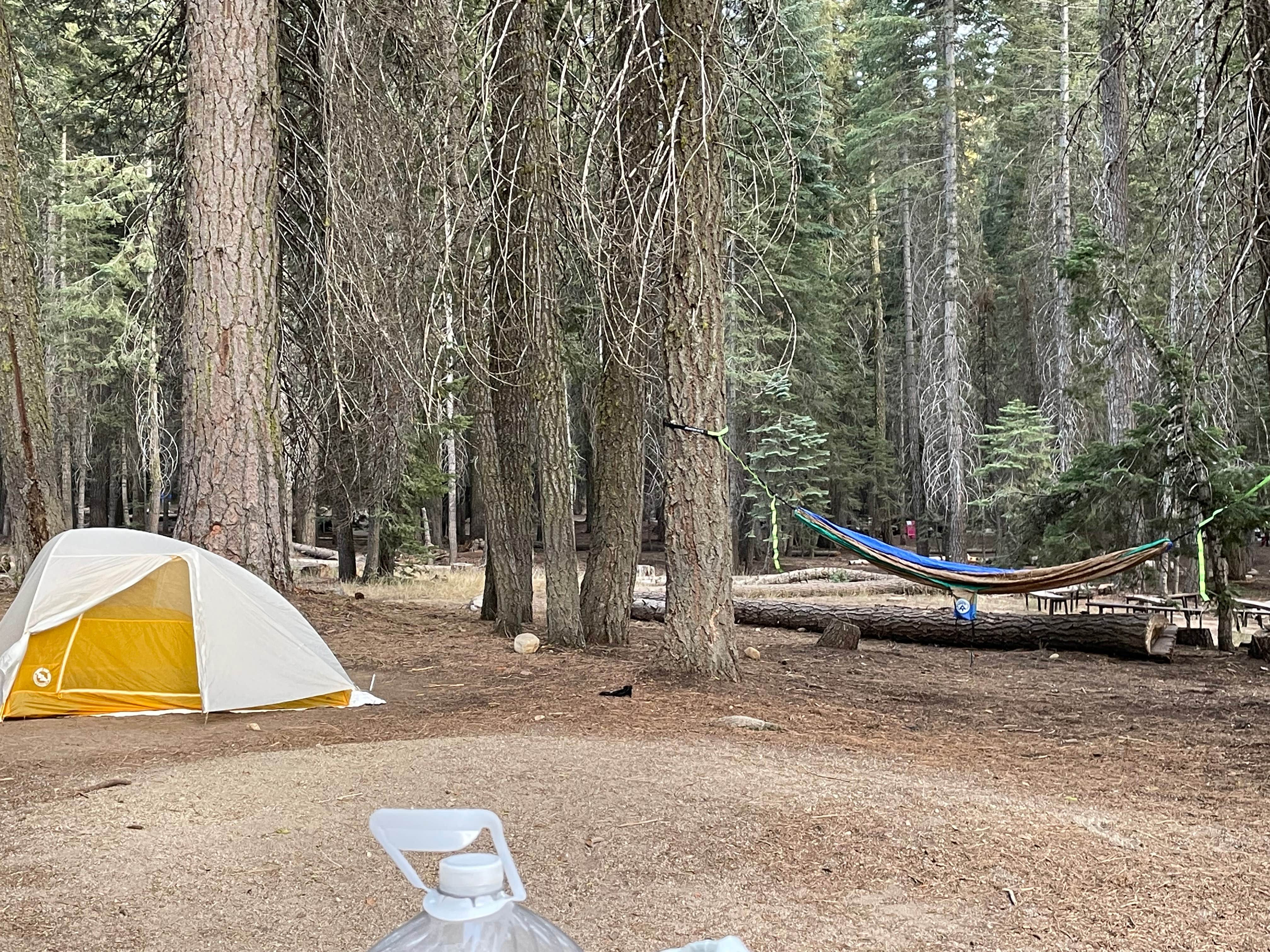 Kelsey A.'s photo of tent camping at Stony Creek Campground near Atascadero, CA