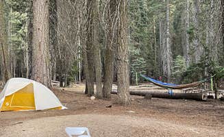 Kelsey A.'s photo of tent camping at Stony Creek Campground near Los Alamos, CA