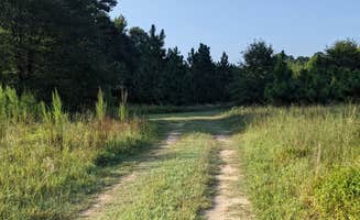 Kat H.'s photo of camping with pets at Blackwater Birds and Bees near Newport News, VA