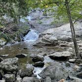 Review photo of Manor - Cunningham Falls State Park by Ashley H., September 3, 2021