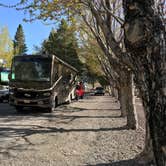 Review photo of Silver Lake Campground at June Lake by Andy M., June 23, 2018