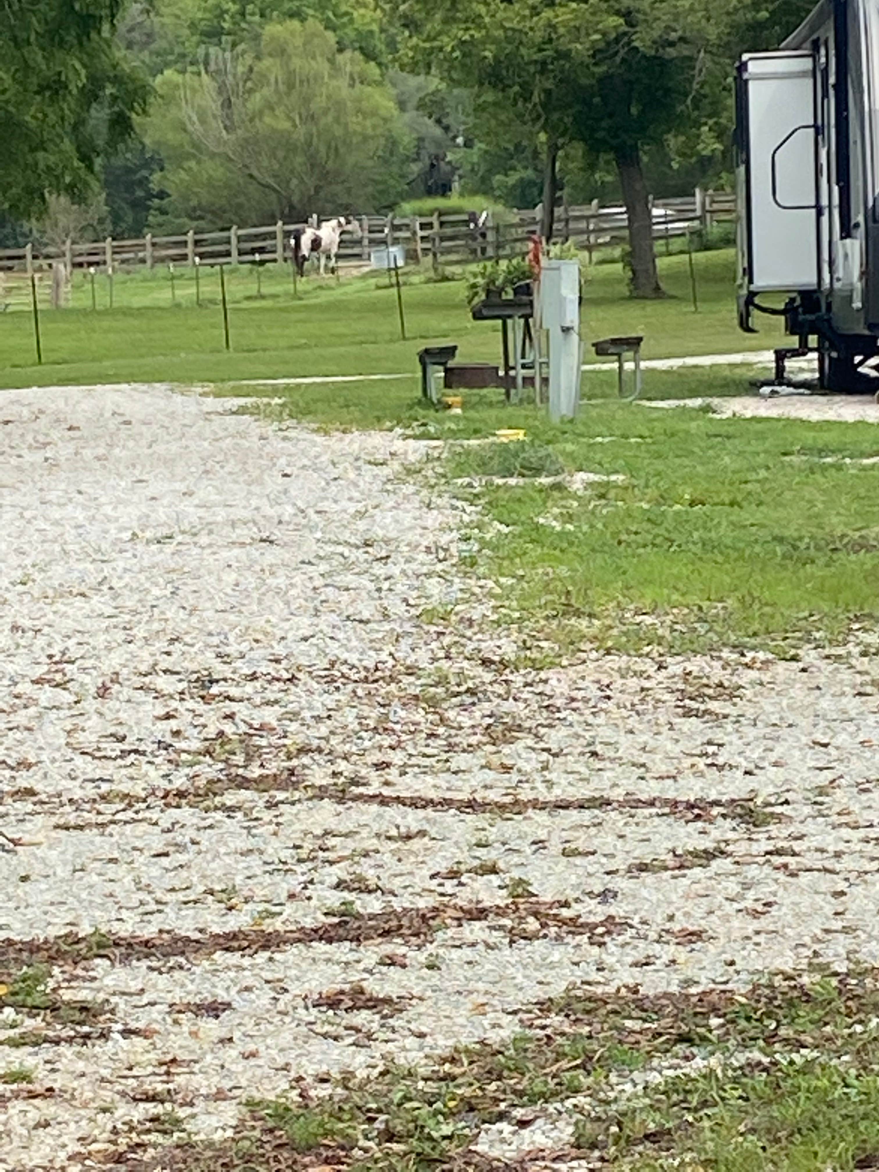 Best camping near St. Louis, Missouri The Dyrt