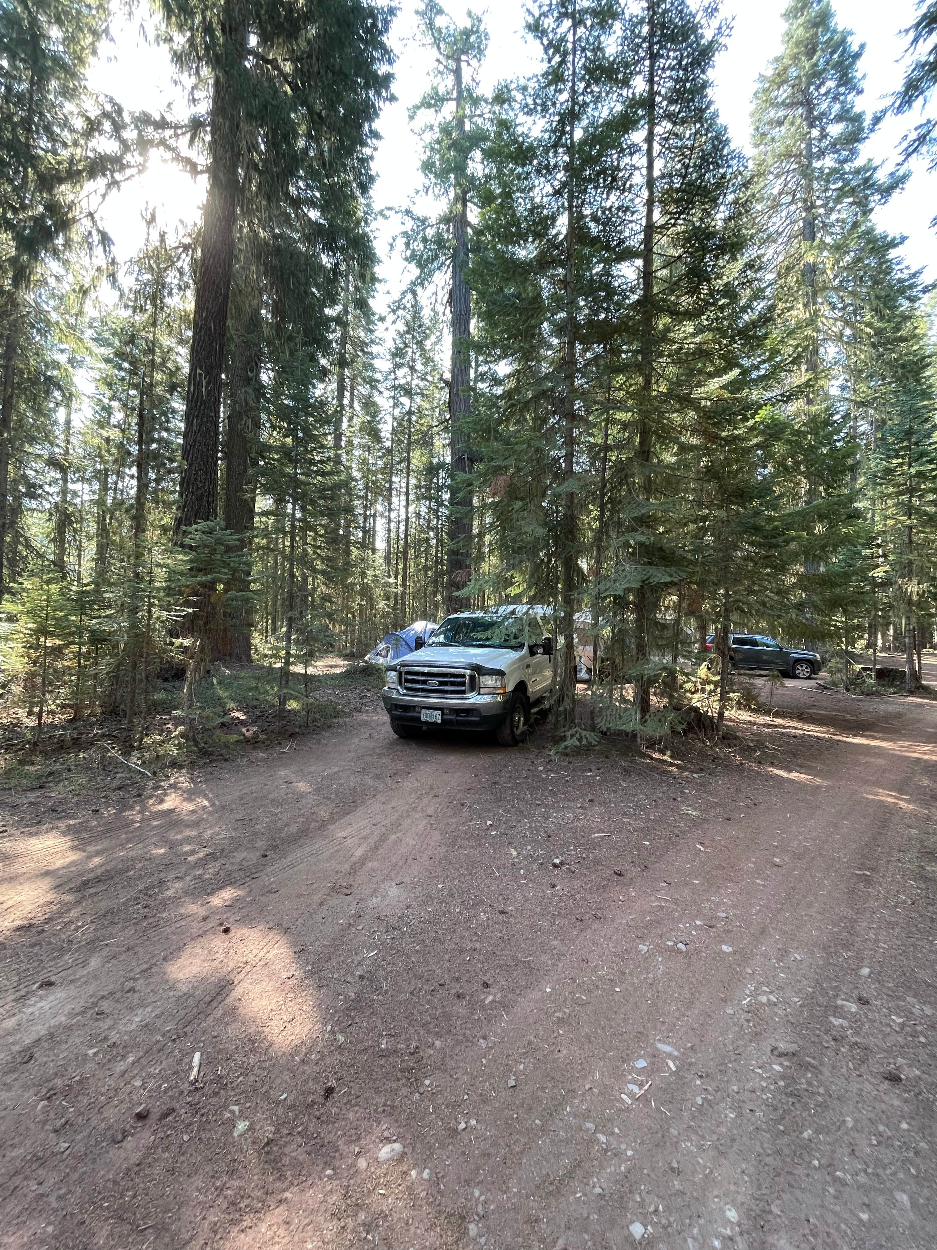 Camper-submitted photo at Millsite Forest Dispersed Camping near Idleyld Park, OR