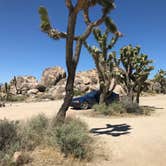 Review photo of Mojave Cross Dispersed — Mojave National Preserve by Nack , September 3, 2021