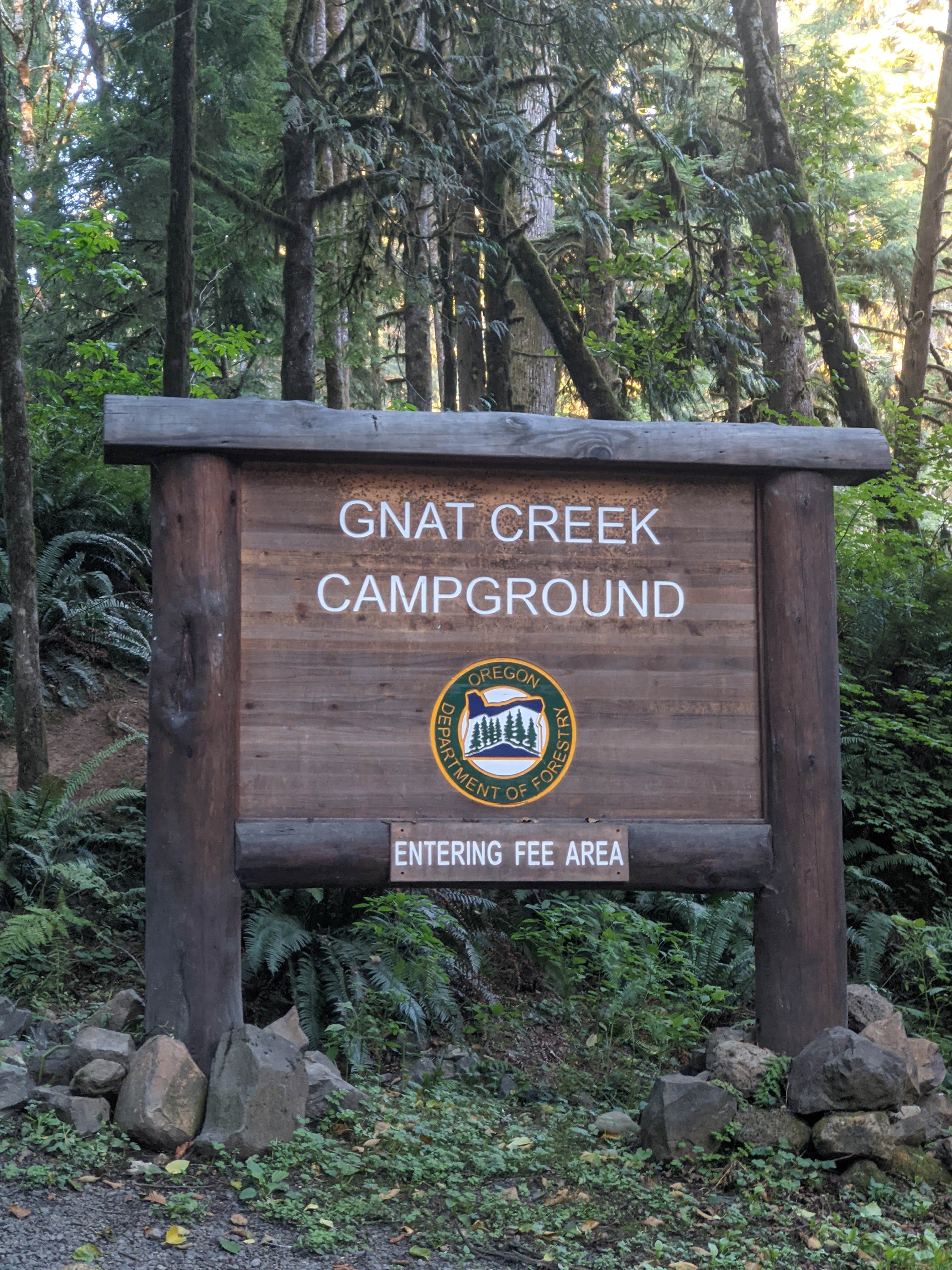 Camper submitted image from Clatsop State Forest Gnat Creek Campground - 3