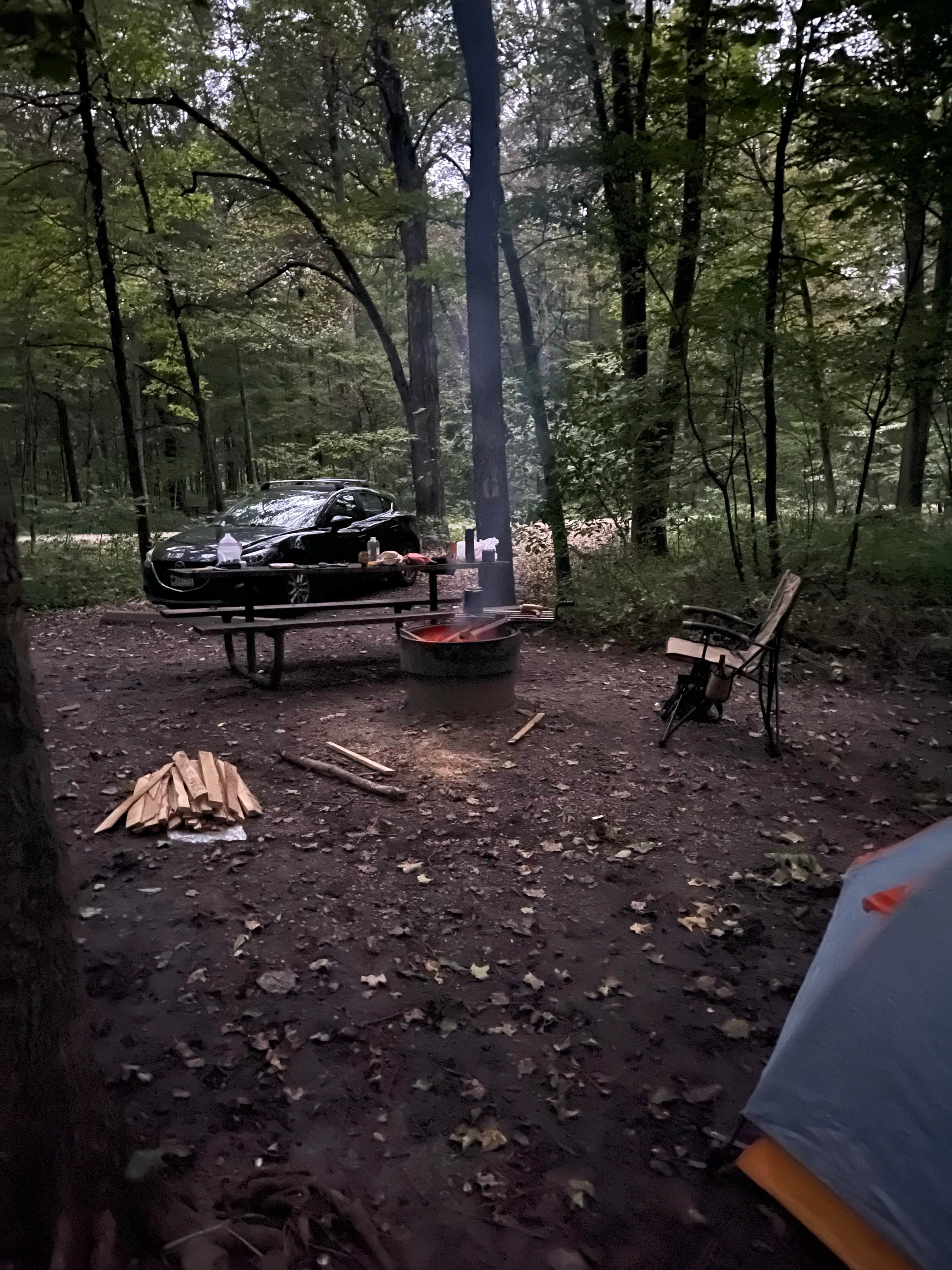 daniel H.'s photo at Forestville Mystery Cave State Park Campground near Preston, MN