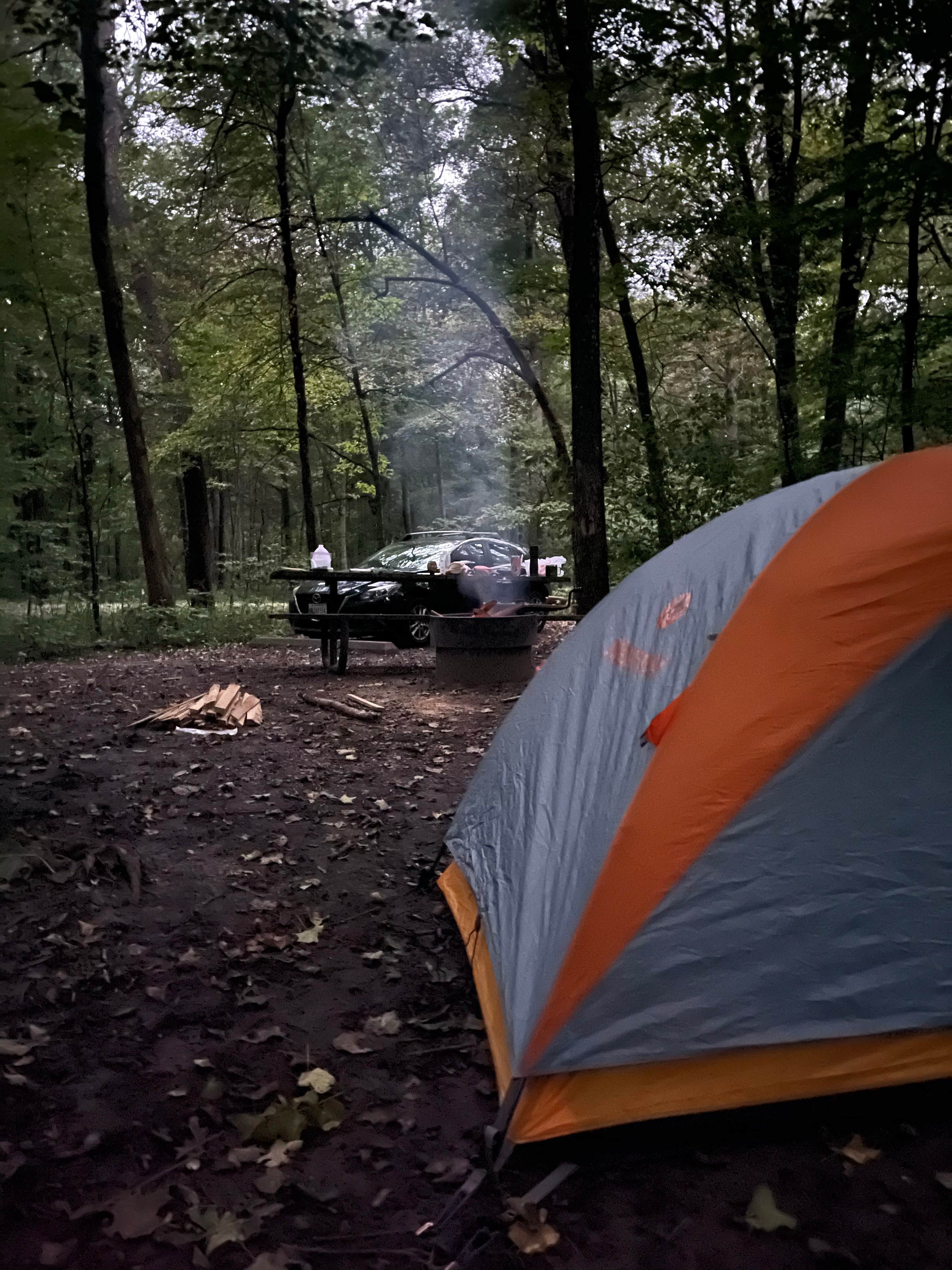 daniel H.'s photo at Forestville Mystery Cave State Park Campground near Preston, MN