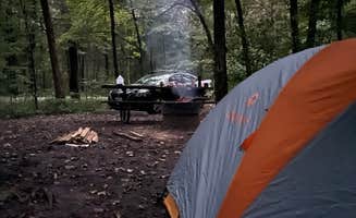 daniel H.'s photo at Forestville Mystery Cave State Park Campground near Elma, IA