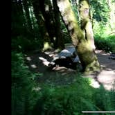 Review photo of Gales Creek Campground by Breanna , September 3, 2021