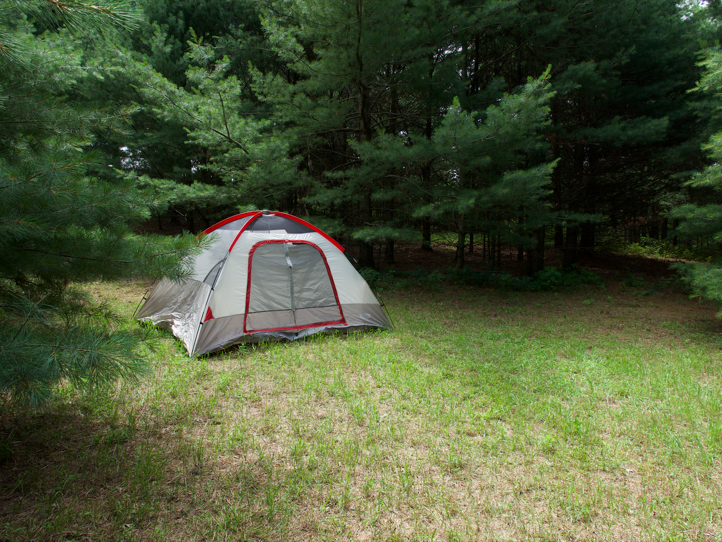 Camper-submitted photo at Springhetti Acres near Iola, WI