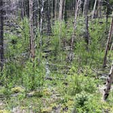 Review photo of Alvarado Campground by Kris M., September 3, 2021