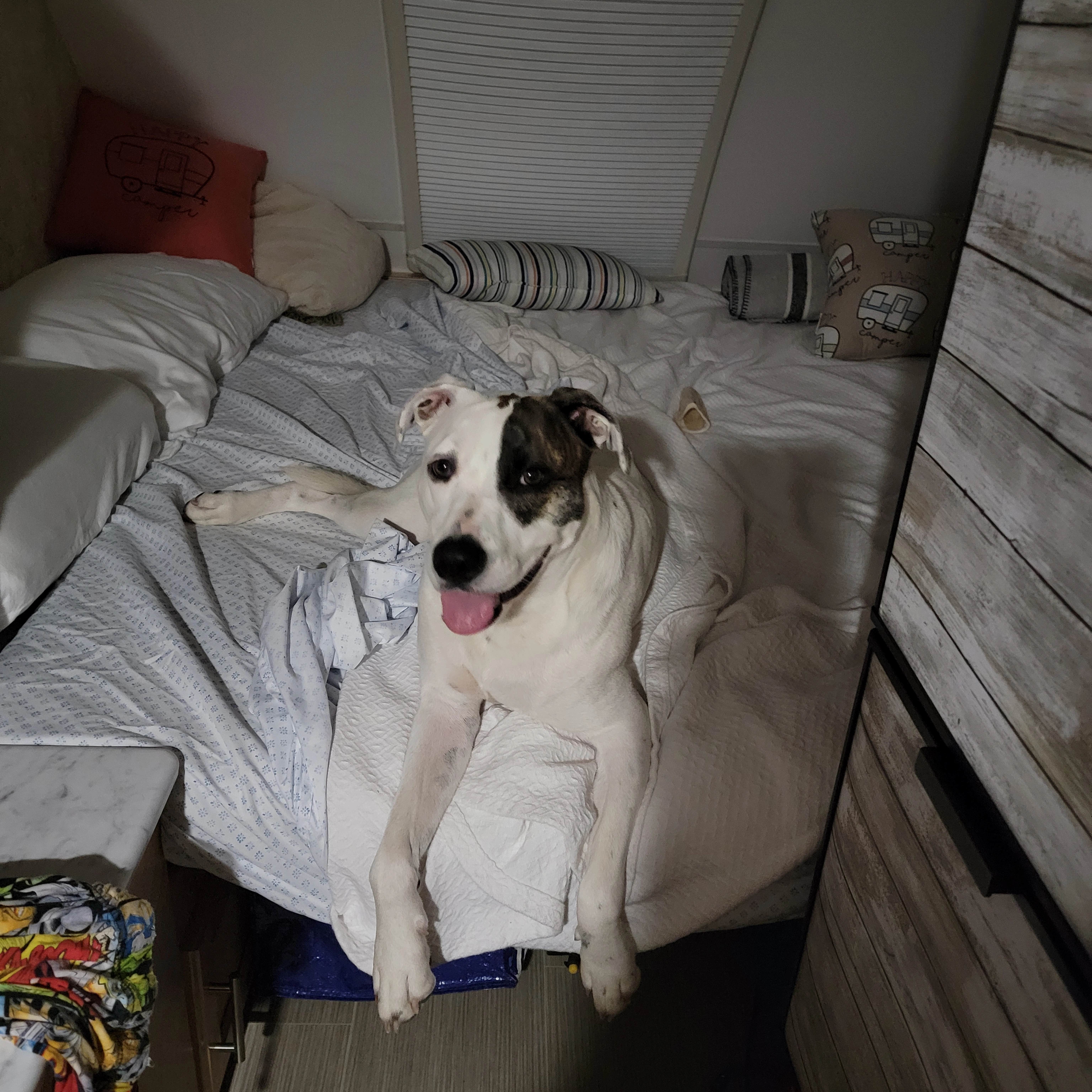 Camper-submitted photo at Waters Edge Family Campground near Rocky Hill, CT