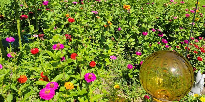 Camper submitted image from Brattleboro North KOA