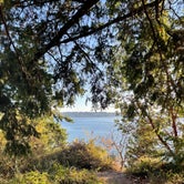 Review photo of Saltwater State Park Campground by Mark M., September 2, 2021